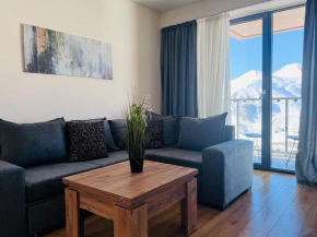 Delux apartment for 6 guest, new gudauri